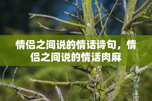 情侣之间说的情话诗句，情侣之间说的情话肉麻