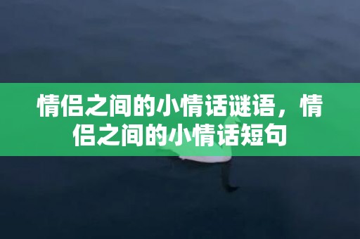 情侣之间的小情话谜语，情侣之间的小情话短句