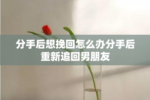 分手后想挽回怎么办分手后重新追回男朋友