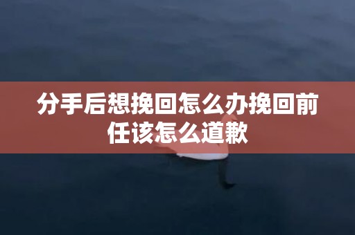 分手后想挽回怎么办挽回前任该怎么道歉