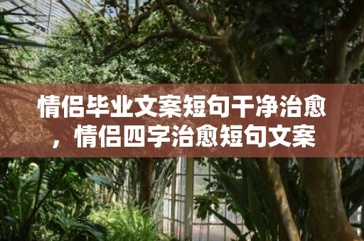 情侣毕业文案短句干净治愈，情侣四字治愈短句文案