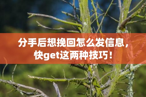 分手后想挽回怎么发信息，快get这两种技巧！