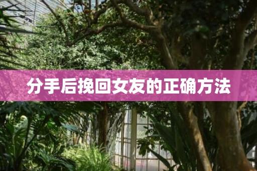 分手后挽回女友的正确方法