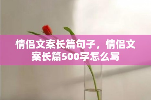 情侣文案长篇句子，情侣文案长篇500字怎么写