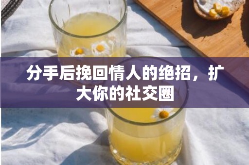 分手后挽回情人的绝招，扩大你的社交圈