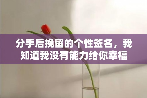 分手后挽留的个性签名，我知道我没有能力给你幸福