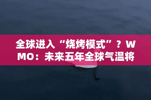 全球进入“烧烤模式”？WMO：未来五年全球气温将创下新纪录