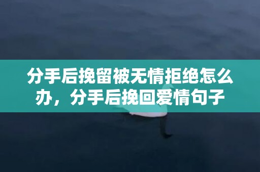 分手后挽留被无情拒绝怎么办，分手后挽回爱情句子