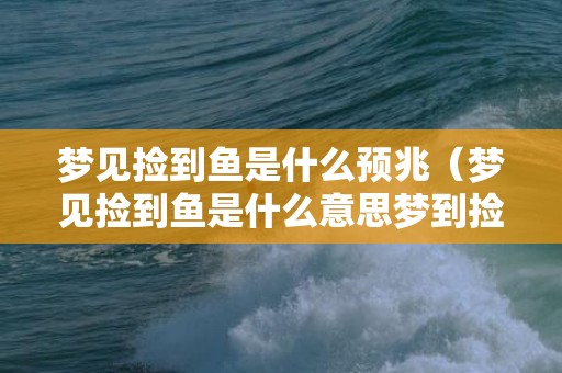 梦见捡到鱼是什么预兆（梦见捡到鱼是什么意思梦到捡鱼意味着什么）