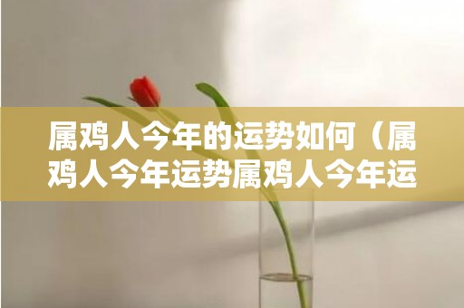 属鸡人今年的运势如何（属鸡人今年运势属鸡人今年运势如何）