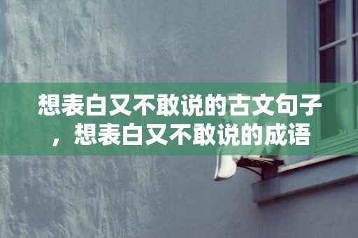 想表白又不敢说的古文句子，想表白又不敢说的成语