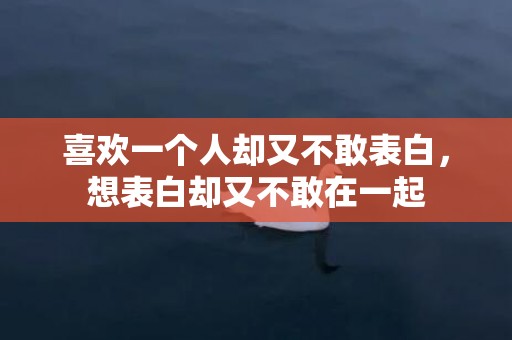 喜欢一个人却又不敢表白，想表白却又不敢在一起