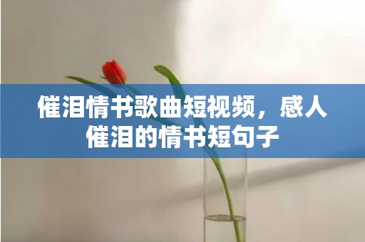 催泪情书歌曲短视频，感人催泪的情书短句子