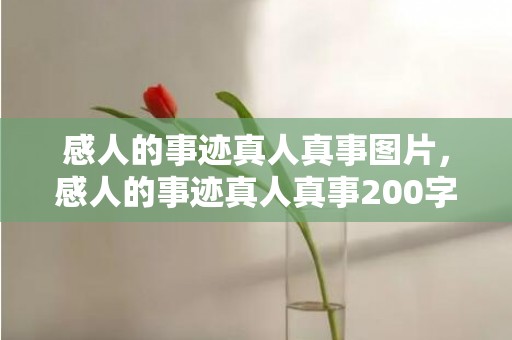 感人的事迹真人真事图片，感人的事迹真人真事200字