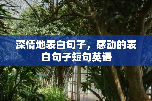 深情地表白句子，感动的表白句子短句英语