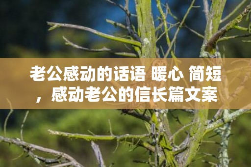 老公感动的话语 暖心 简短，感动老公的信长篇文案