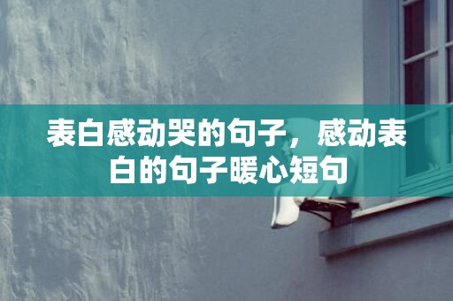 表白感动哭的句子，感动表白的句子暖心短句