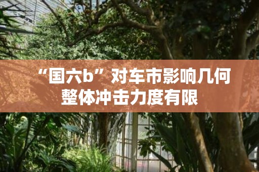 “国六b”对车市影响几何 整体冲击力度有限