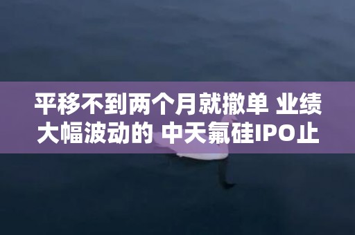 平移不到两个月就撤单 业绩大幅波动的 中天氟硅IPO止步