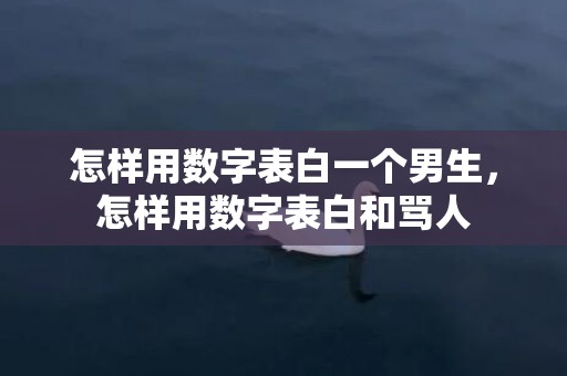 怎样用数字表白一个男生，怎样用数字表白和骂人