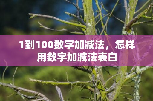 1到100数字加减法，怎样用数字加减法表白