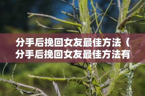 分手后挽回女友最佳方法（分手后挽回女友最佳方法有哪些）