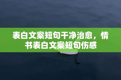 表白文案短句干净治愈，情书表白文案短句伤感