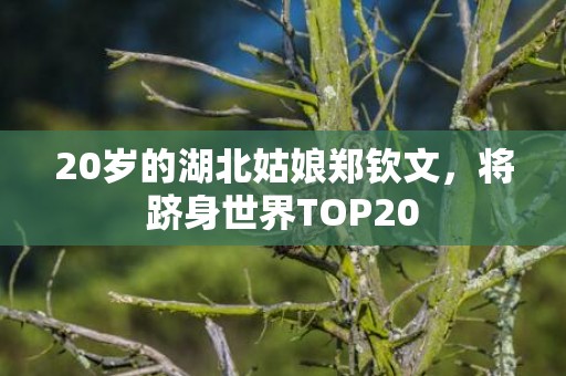 20岁的湖北姑娘郑钦文，将跻身世界TOP20