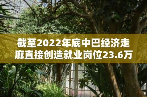 截至2022年底中巴经济走廊直接创造就业岗位23.6万个