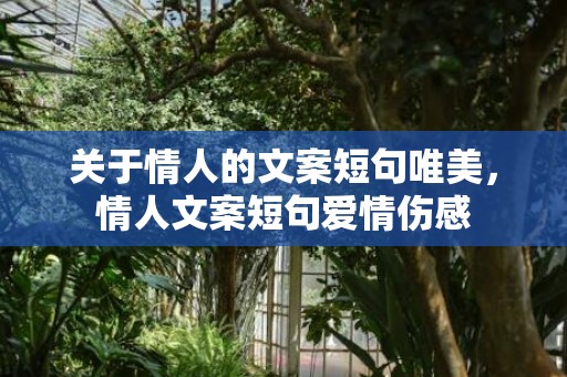 关于情人的文案短句唯美，情人文案短句爱情伤感