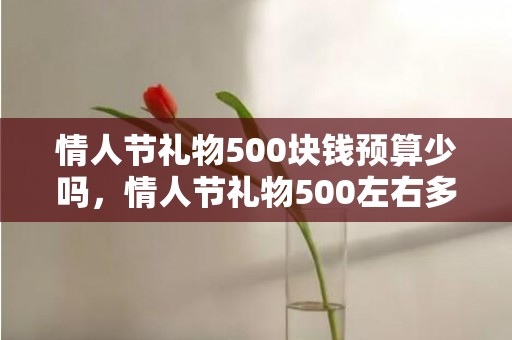 情人节礼物500块钱预算少吗，情人节礼物500左右多少钱