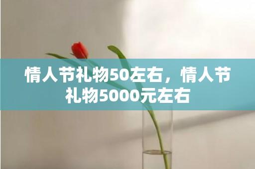 情人节礼物50左右，情人节礼物5000元左右