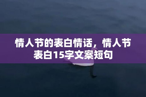 情人节的表白情话，情人节表白15字文案短句