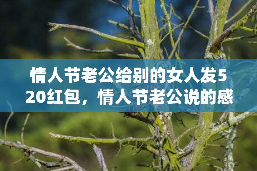 情人节老公给别的女人发520红包，情人节老公说的感激话