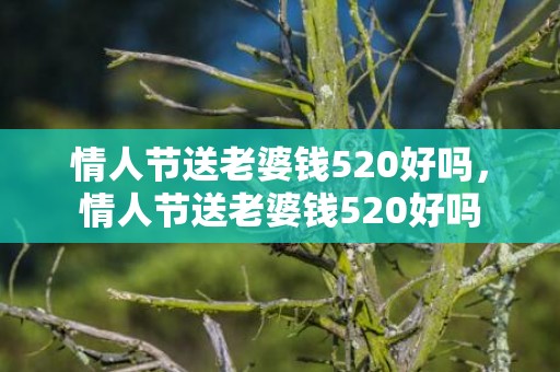 情人节送老婆钱520好吗，情人节送老婆钱520好吗