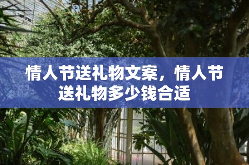 情人节送礼物文案，情人节送礼物多少钱合适