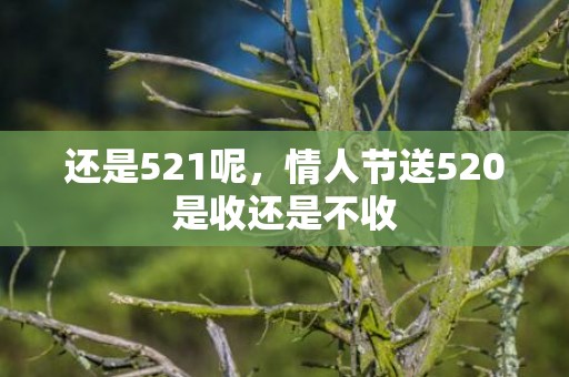 还是521呢，情人节送520是收还是不收