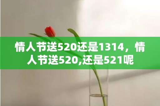 情人节送520还是1314，情人节送520,还是521呢