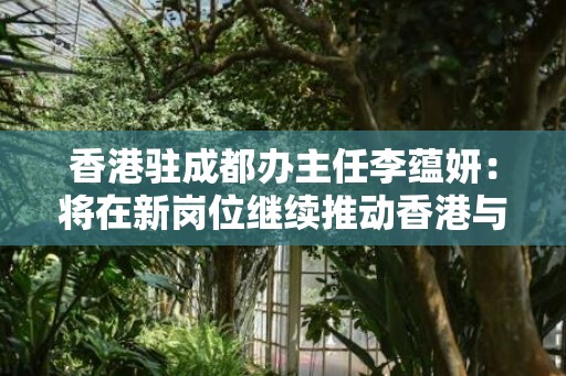 香港驻成都办主任李蕴妍：将在新岗位继续推动香港与内地合作