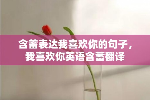 含蓄表达我喜欢你的句子，我喜欢你英语含蓄翻译