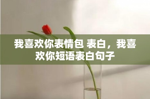 我喜欢你表情包 表白，我喜欢你短语表白句子