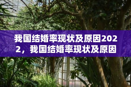 我国结婚率现状及原因2022，我国结婚率现状及原因研究