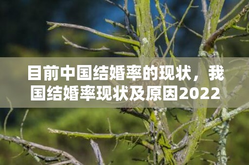 目前中国结婚率的现状，我国结婚率现状及原因2022