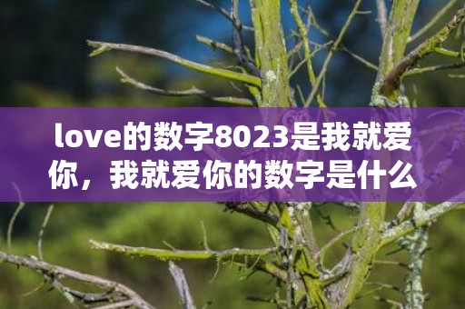 love的数字8023是我就爱你，我就爱你的数字是什么