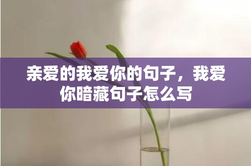 亲爱的我爱你的句子，我爱你暗藏句子怎么写