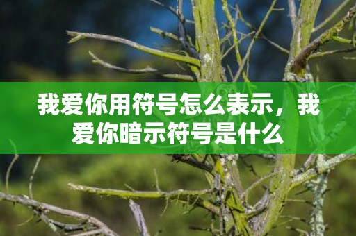 我爱你用符号怎么表示，我爱你暗示符号是什么