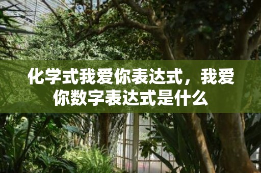 化学式我爱你表达式，我爱你数字表达式是什么