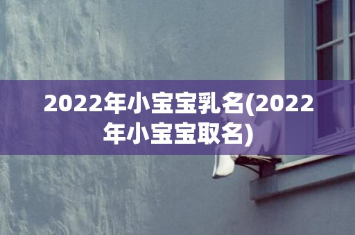 2022年小宝宝乳名(2022年小宝宝取名)