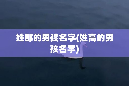 姓郜的男孩名字(姓高的男孩名字)