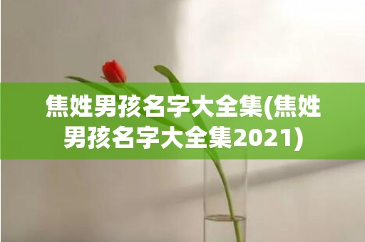 焦姓男孩名字大全集(焦姓男孩名字大全集2021)